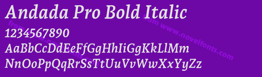 Andada Pro Bold ItalicPreview Andada Pro Bold ItalicPreview