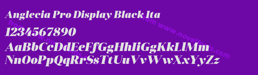 Anglecia Pro Display Black ItaPreview Anglecia Pro Display Black ItaPreview