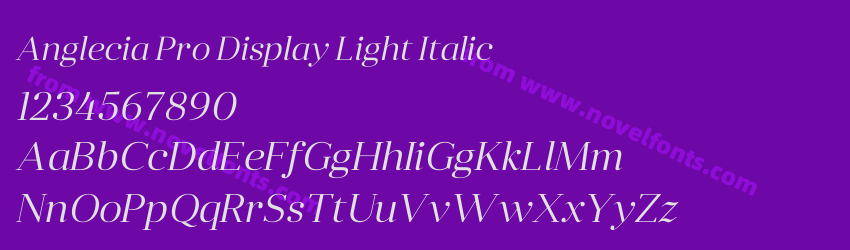 Anglecia Pro Display Light ItalicPreview Anglecia Pro Display Light ItalicPreview