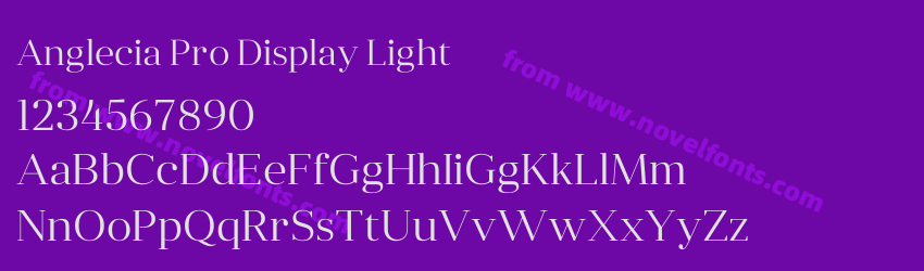 Anglecia Pro Display LightPreview Anglecia Pro Display LightPreview