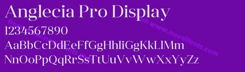 Anglecia Pro DisplayPreview Anglecia Pro DisplayPreview