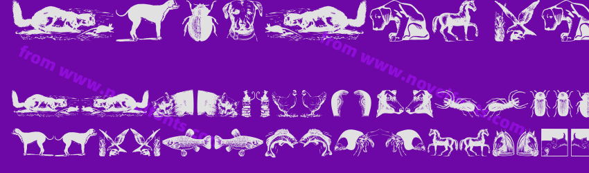 Animals OldfashionPreview Animals OldfashionPreview