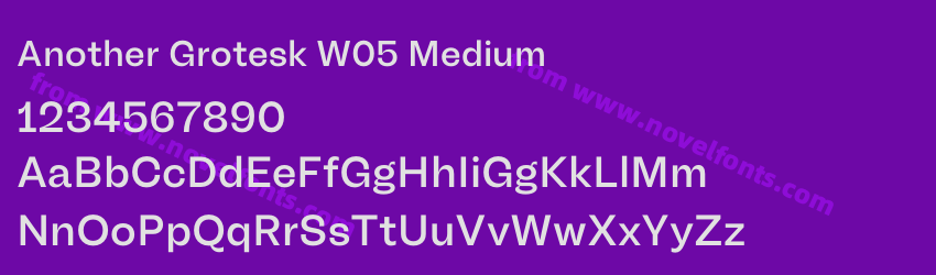 Another Grotesk W05 MediumPreview