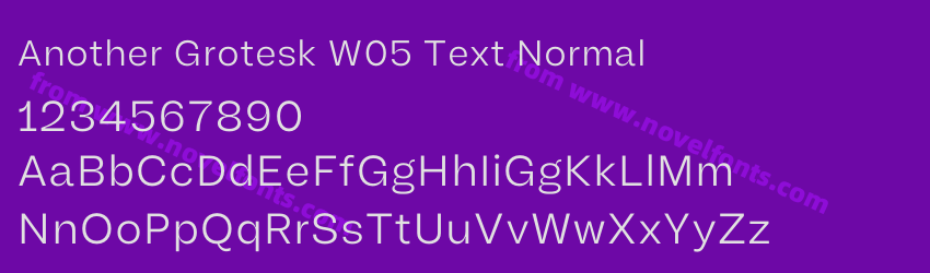 Another Grotesk W05 Text NormalPreview