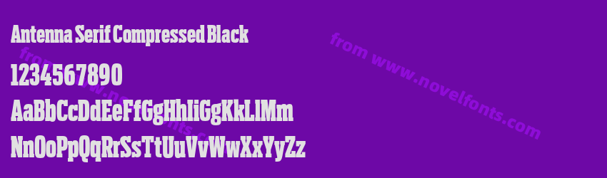 Antenna Serif Compressed BlackPreview