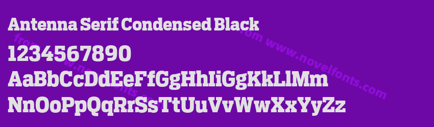 Antenna Serif Condensed BlackPreview