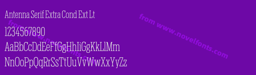 Antenna Serif Extra Cond Ext LtPreview