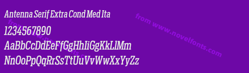Antenna Serif Extra Cond Med ItaPreview