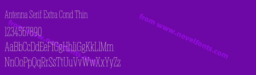 Antenna Serif Extra Cond ThinPreview