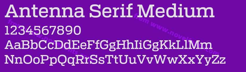 Antenna Serif MediumPreview