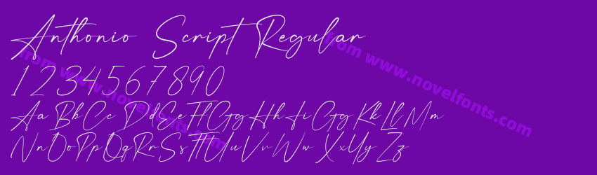 Anthonio Script RegularPreview Anthonio Script RegularPreview