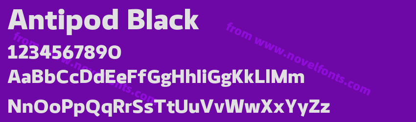 Antipod BlackPreview