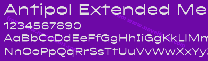 Antipol Extended MediumPreview