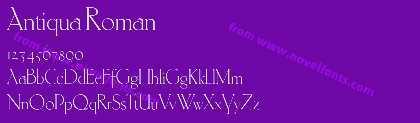 Antiqua RomanPreview Antiqua RomanPreview