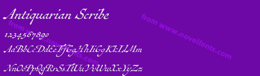 Antiquarian ScribePreview Antiquarian ScribePreview
