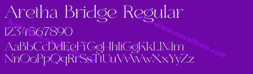 Aretha Bridge RegularPreview Aretha Bridge RegularPreview