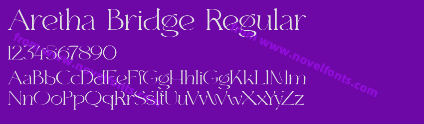 Aretha Bridge RegularPreview