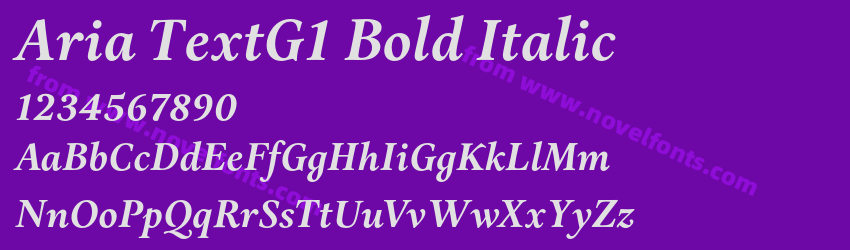 Aria TextG1 Bold ItalicPreview