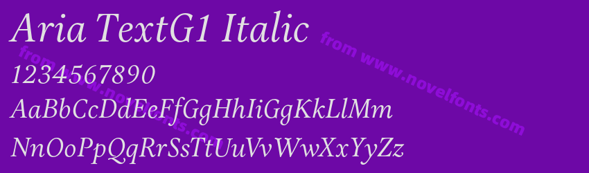 Aria TextG1 ItalicPreview