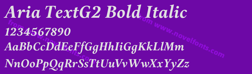 Aria TextG2 Bold ItalicPreview Aria TextG2 Bold ItalicPreview