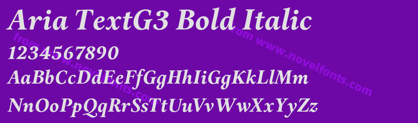 Aria TextG3 Bold ItalicPreview Aria TextG3 Bold ItalicPreview