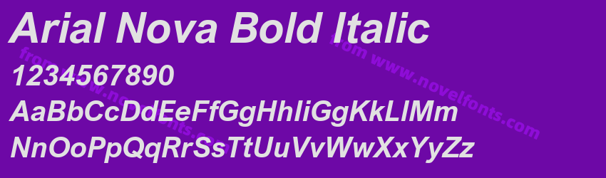 Arial Nova Bold ItalicPreview