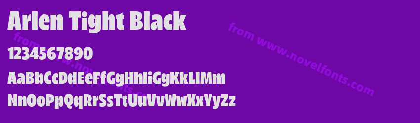 Arlen Tight BlackPreview