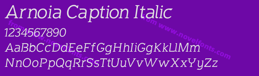 Arnoia Caption ItalicPreview