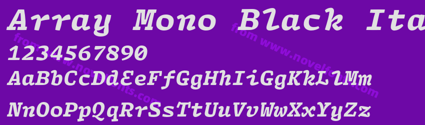 Array Mono Black ItalicPreview Array Mono Black ItalicPreview