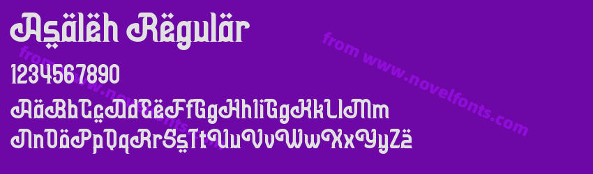 Asaleh RegularPreview