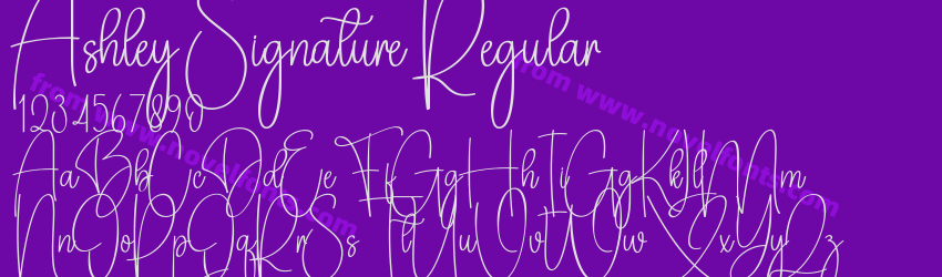 Ashley Signature RegularPreview Ashley Signature RegularPreview