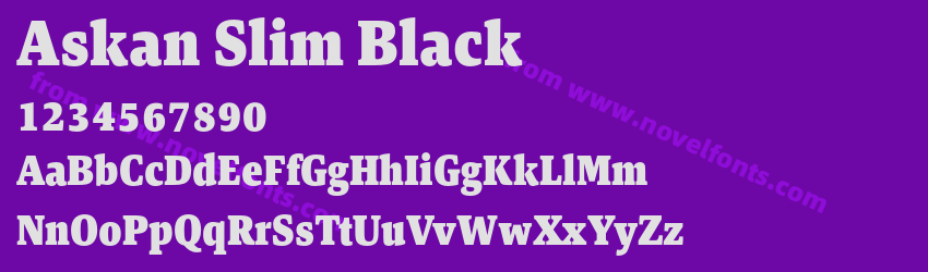 Askan Slim BlackPreview