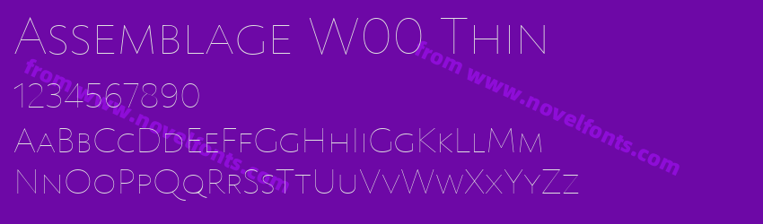 Assemblage W00 ThinPreview Assemblage W00 ThinPreview