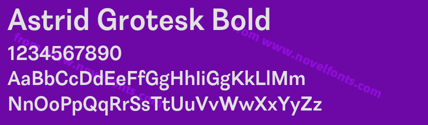 Astrid Grotesk BoldPreview