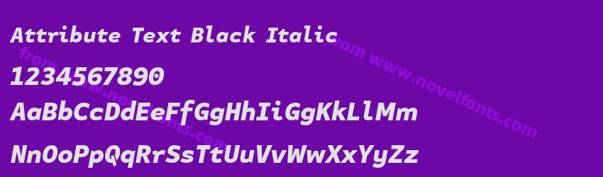 Attribute Text Black ItalicPreview