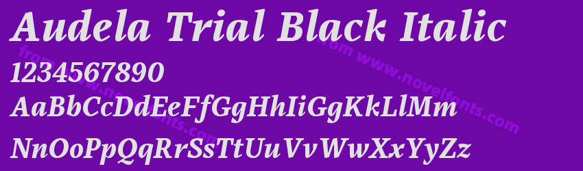 Audela Trial Black ItalicPreview