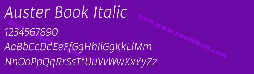 Auster Book ItalicPreview Auster Book ItalicPreview