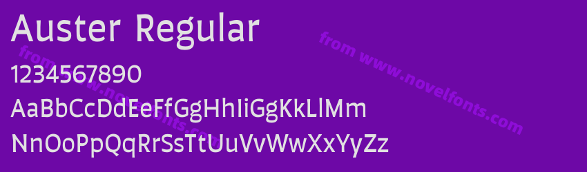 Auster RegularPreview Auster RegularPreview
