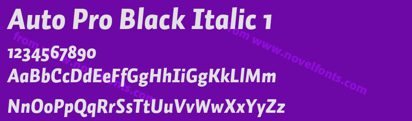 Auto Pro Black Italic 1Preview Auto Pro Black Italic 1Preview