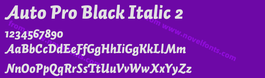 Auto Pro Black Italic 2Preview Auto Pro Black Italic 2Preview