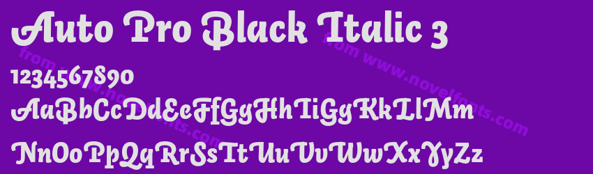 Auto Pro Black Italic 3Preview Auto Pro Black Italic 3Preview