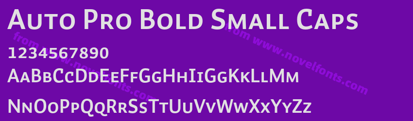 Auto Pro Bold Small CapsPreview Auto Pro Bold Small CapsPreview