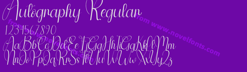 Autography RegularPreview Autography RegularPreview