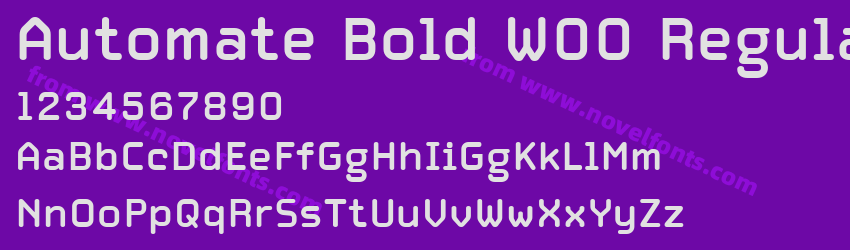 Automate Bold W00 RegularPreview Automate Bold W00 RegularPreview