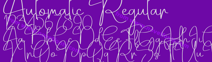 Automatic RegularPreview Automatic RegularPreview