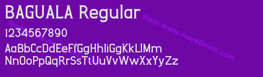 BAGUALA RegularPreview BAGUALA RegularPreview