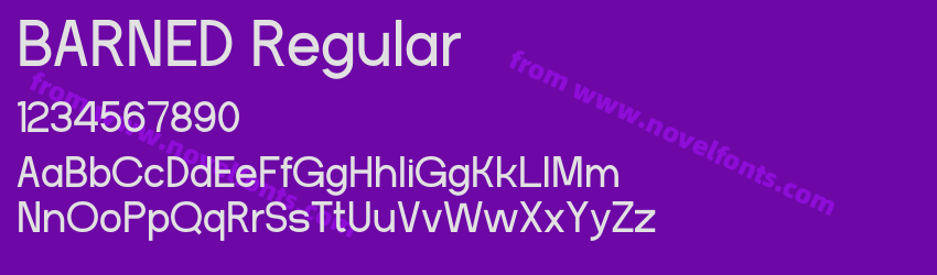 BARNED RegularPreview BARNED RegularPreview