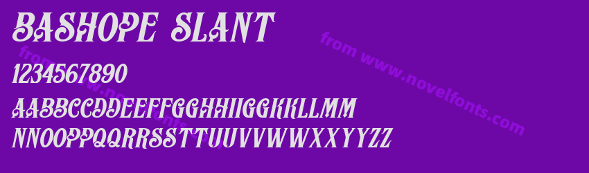 BASHOPE SlantPreview BASHOPE SlantPreview
