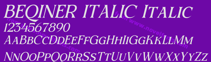 BEQINER ITALIC ItalicPreview BEQINER ITALIC ItalicPreview