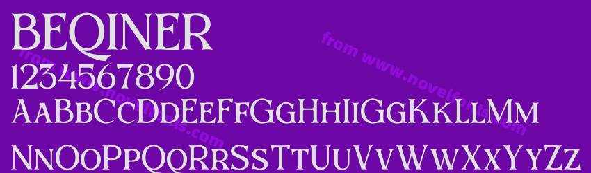 BEQINERPreview BEQINERPreview